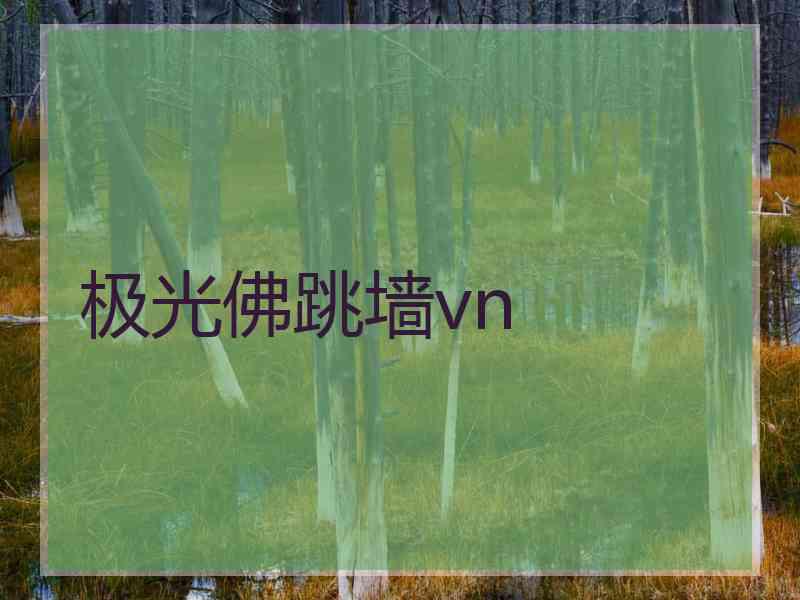极光佛跳墙vn