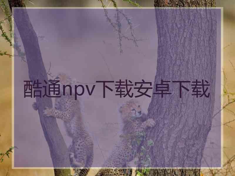 酷通npv下载安卓下载