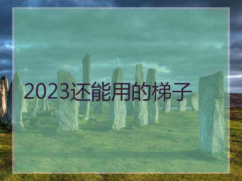 2023还能用的梯子
