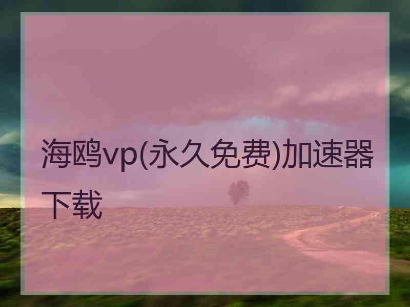 海鸥vp(永久免费)加速器下载