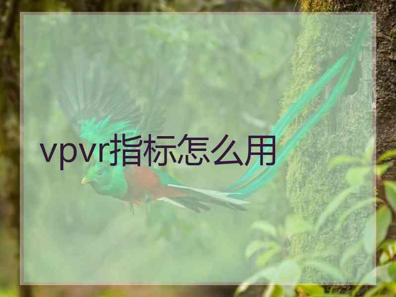 vpvr指标怎么用