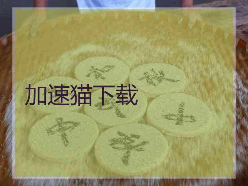 加速猫下载