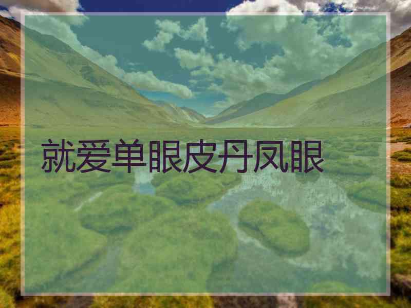就爱单眼皮丹凤眼