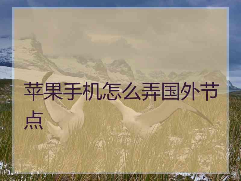 苹果手机怎么弄国外节点