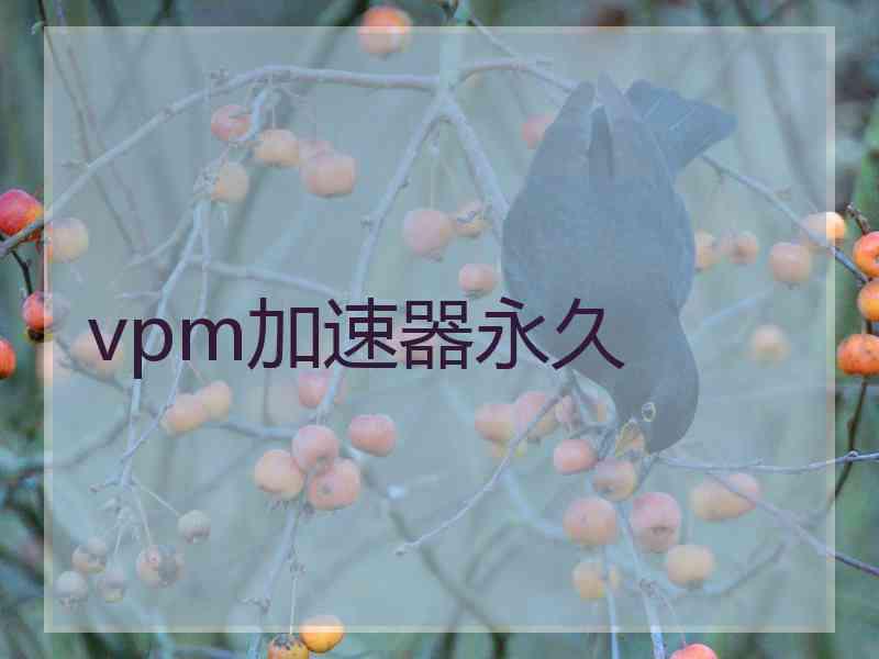 vpm加速器永久