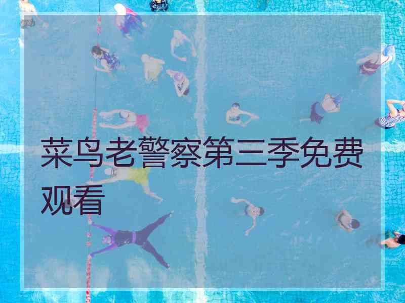 菜鸟老警察第三季免费观看