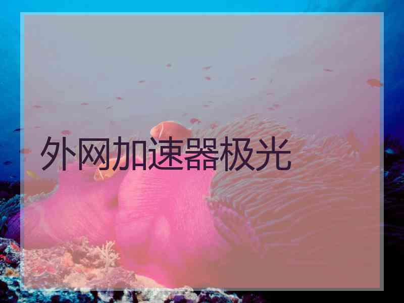 外网加速器极光