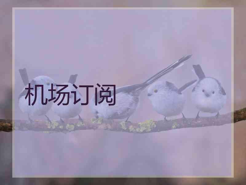 机场订阅