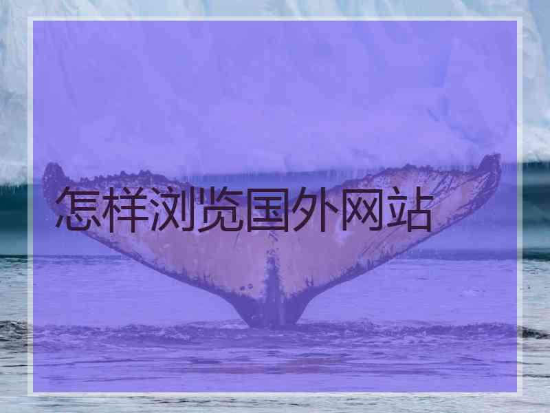 怎样浏览国外网站