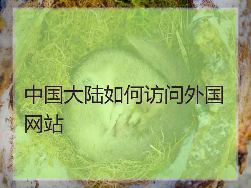 中国大陆如何访问外国网站