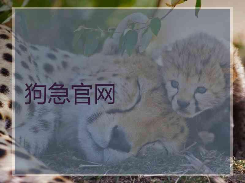 狗急官网