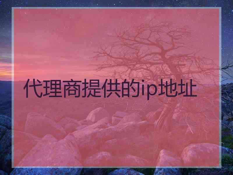 代理商提供的ip地址