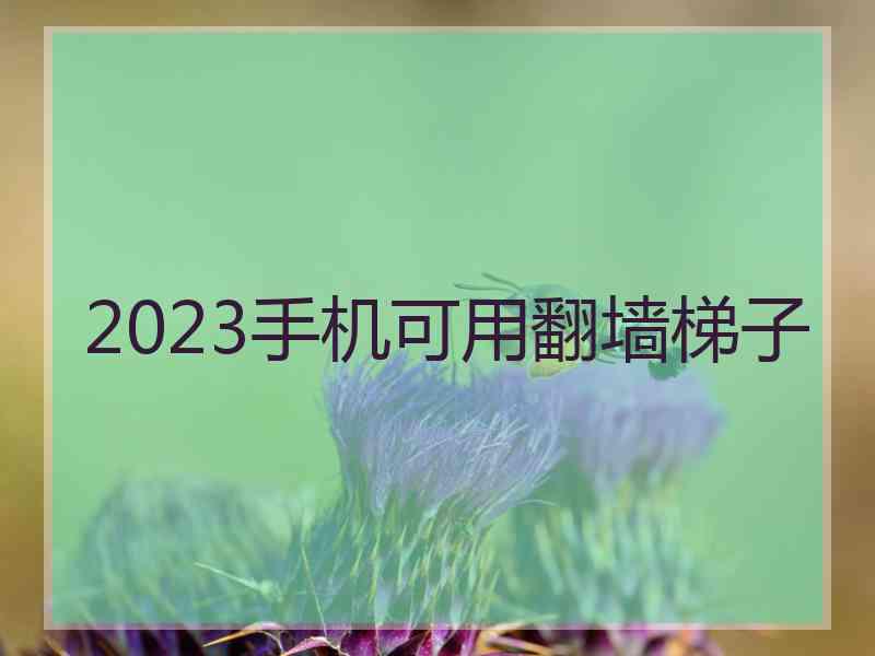 2023手机可用翻墙梯子