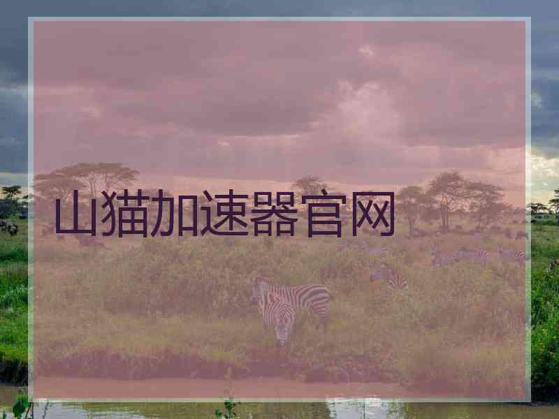山猫加速器官网