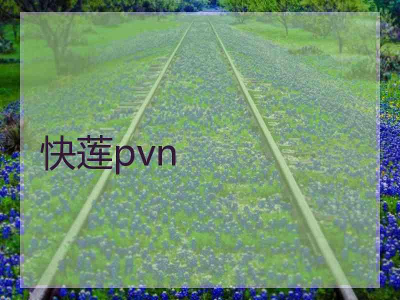 快莲pvn