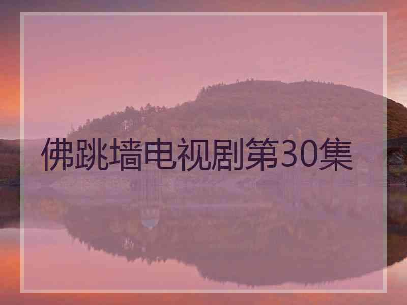佛跳墙电视剧第30集