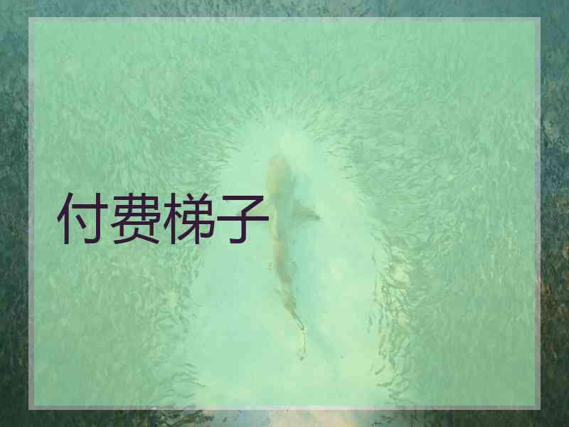 付费梯子