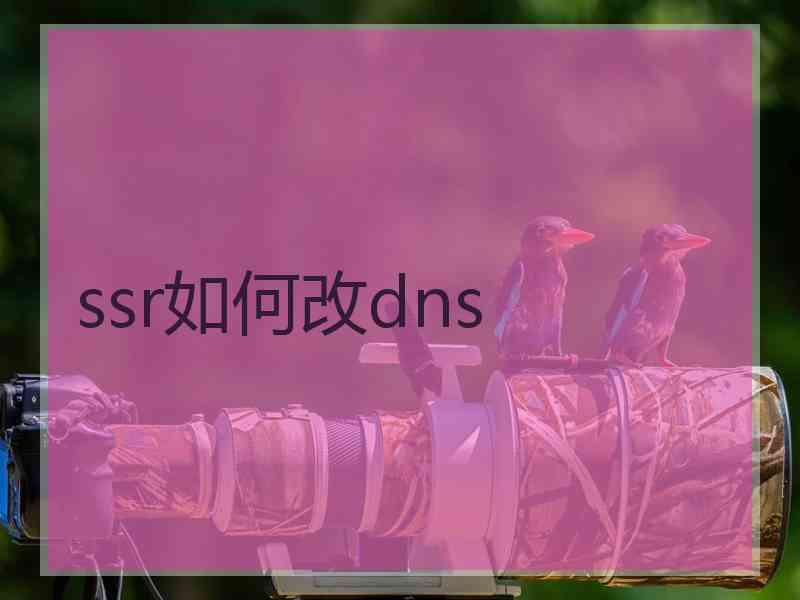 ssr如何改dns
