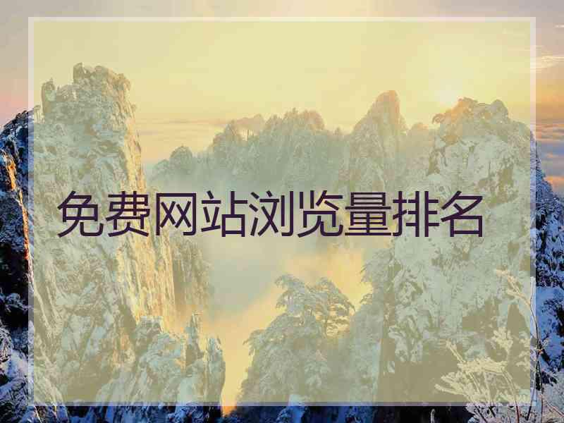 免费网站浏览量排名
