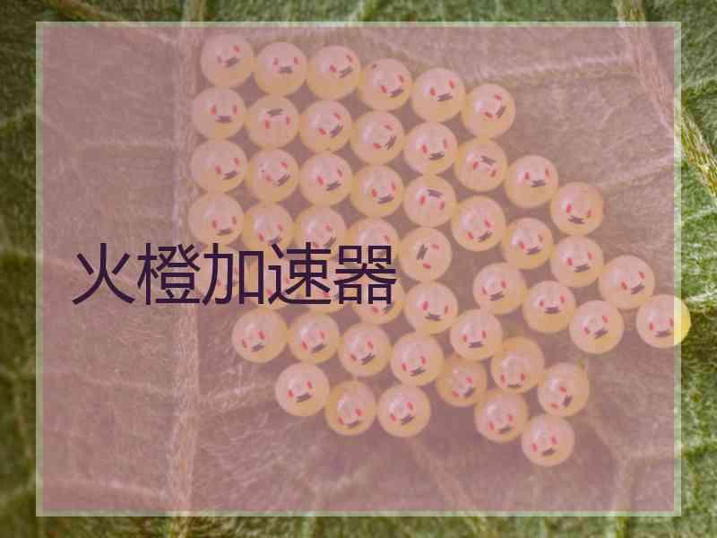火橙加速器