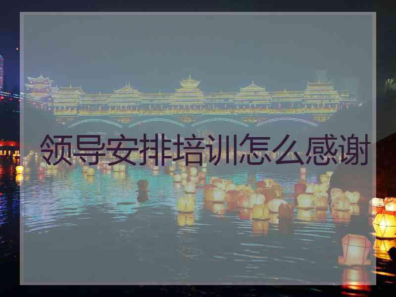 领导安排培训怎么感谢
