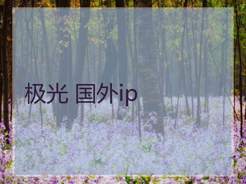 极光 国外ip