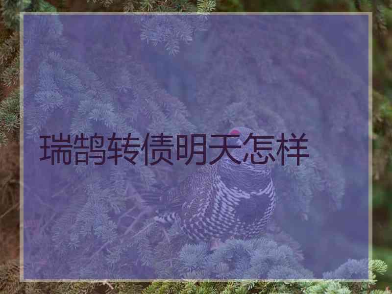 瑞鹄转债明天怎样