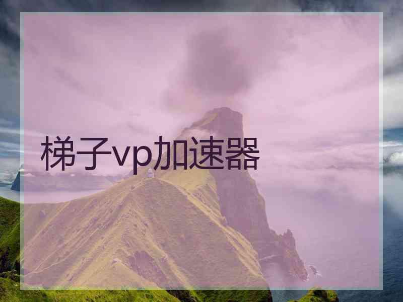 梯子vp加速器