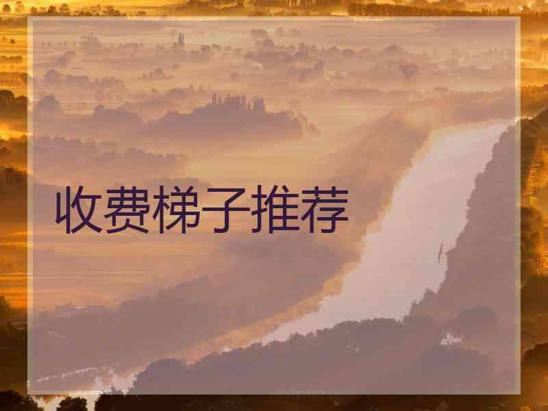 收费梯子推荐