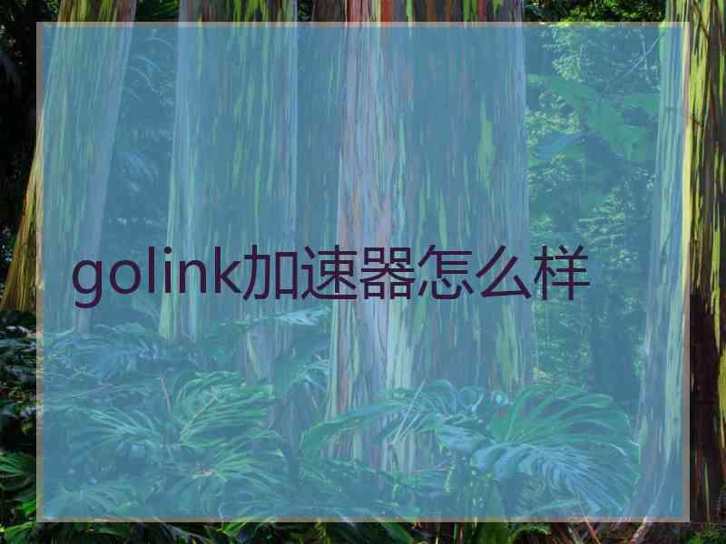 golink加速器怎么样