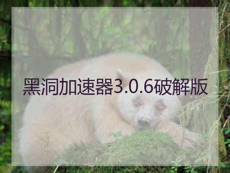 黑洞加速器3.0.6破解版