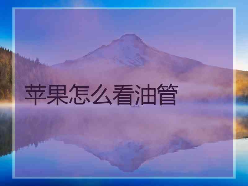 苹果怎么看油管