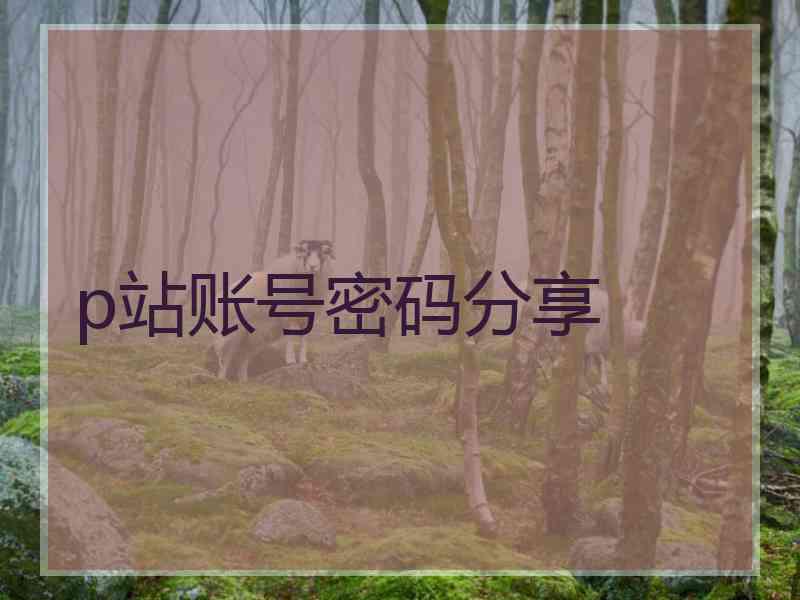 p站账号密码分享