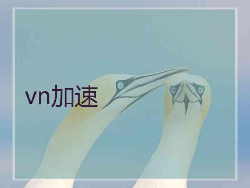 vn加速