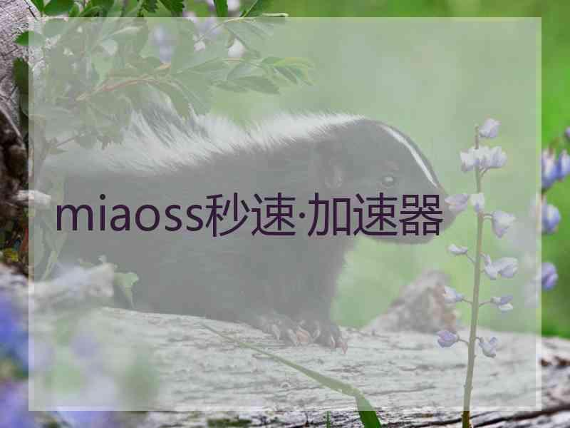 miaoss秒速·加速器