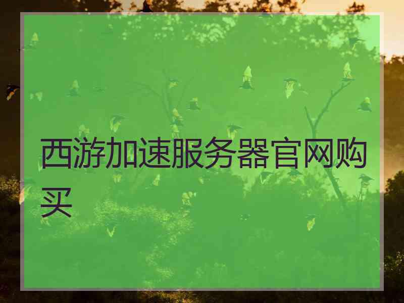 西游加速服务器官网购买