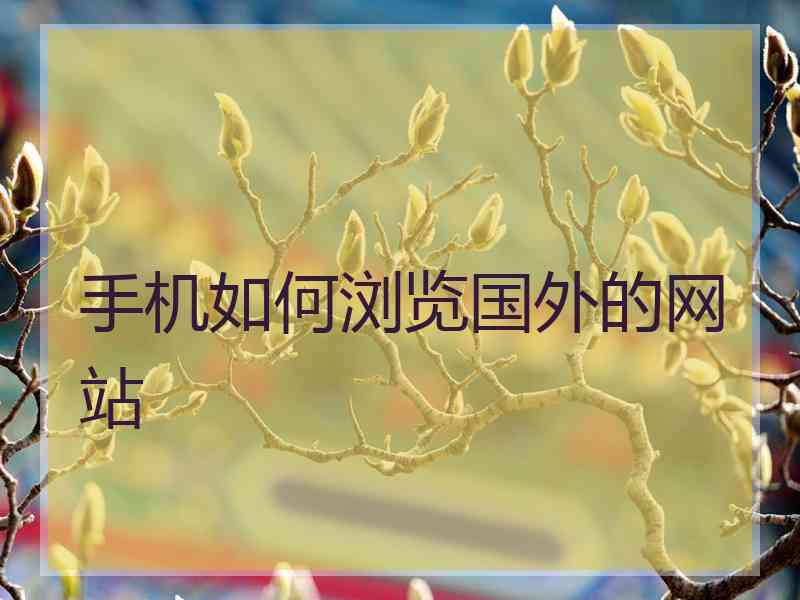 手机如何浏览国外的网站