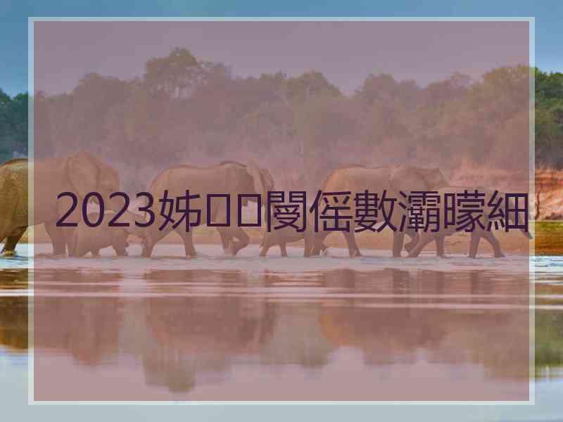 2023姊閿傜數灞曚細
