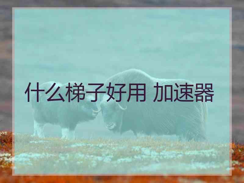 什么梯子好用 加速器