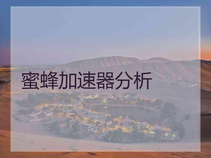 蜜蜂加速器分析