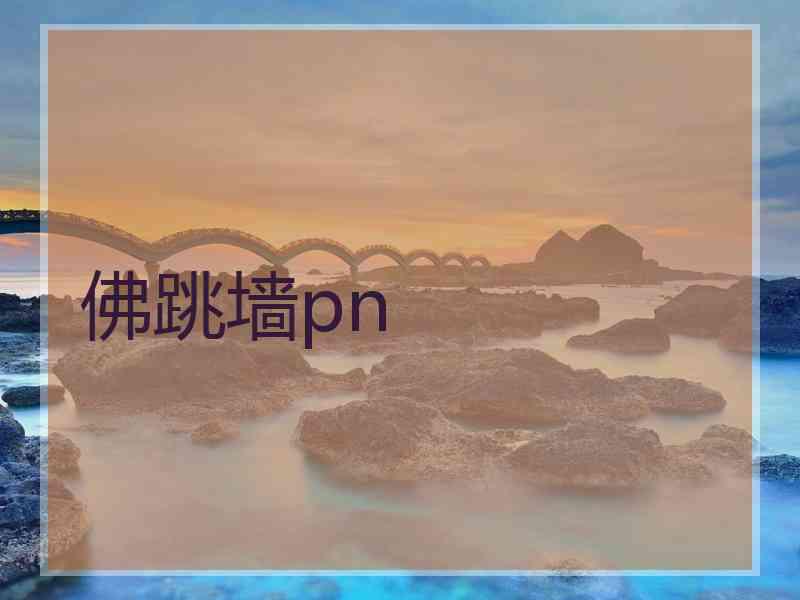 佛跳墙pn