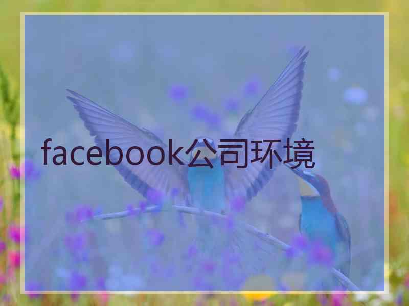 facebook公司环境