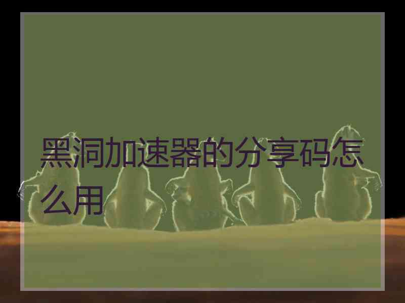 黑洞加速器的分享码怎么用
