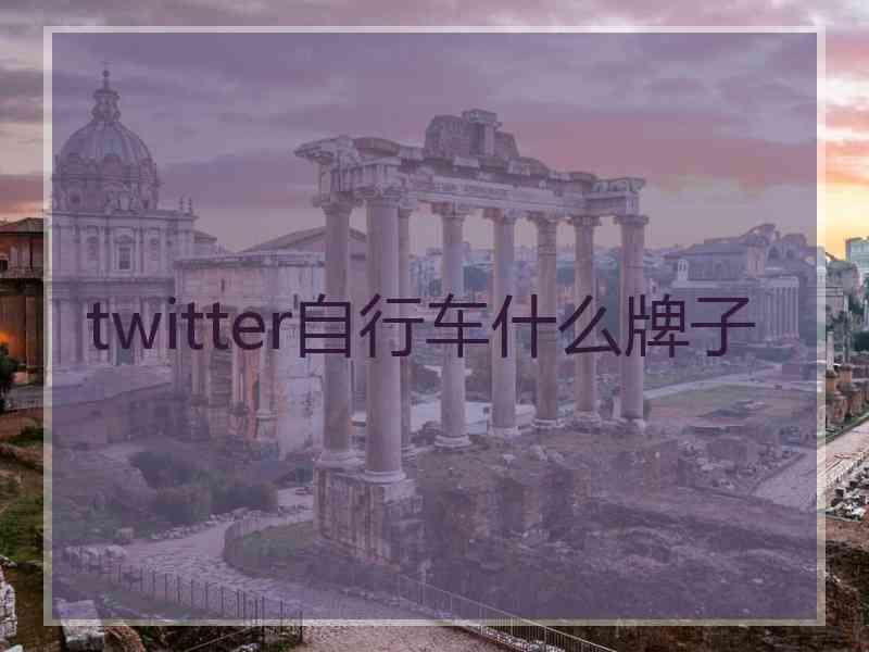twitter自行车什么牌子