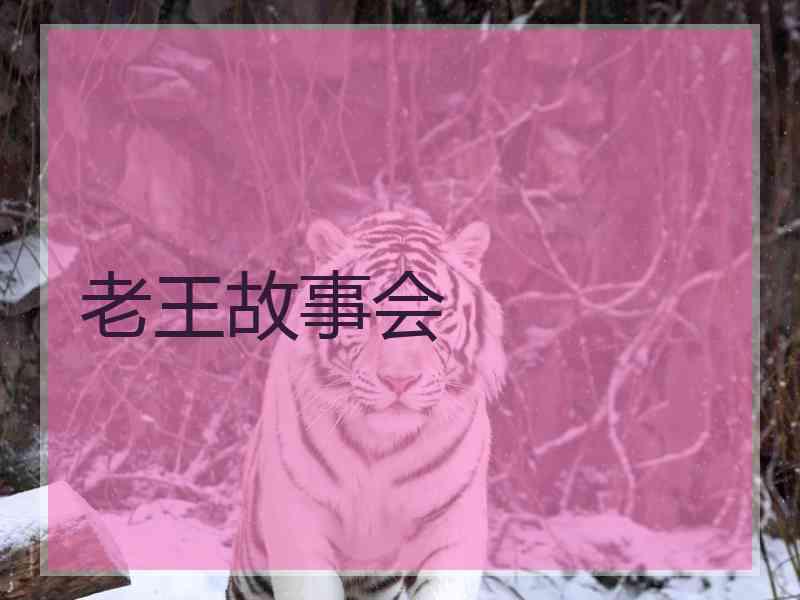 老王故事会