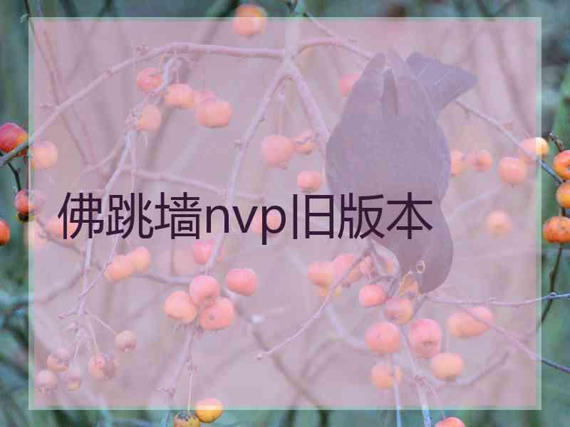 佛跳墙nvp旧版本