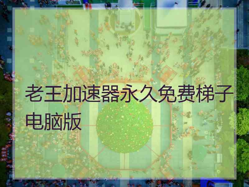 老王加速器永久免费梯子电脑版