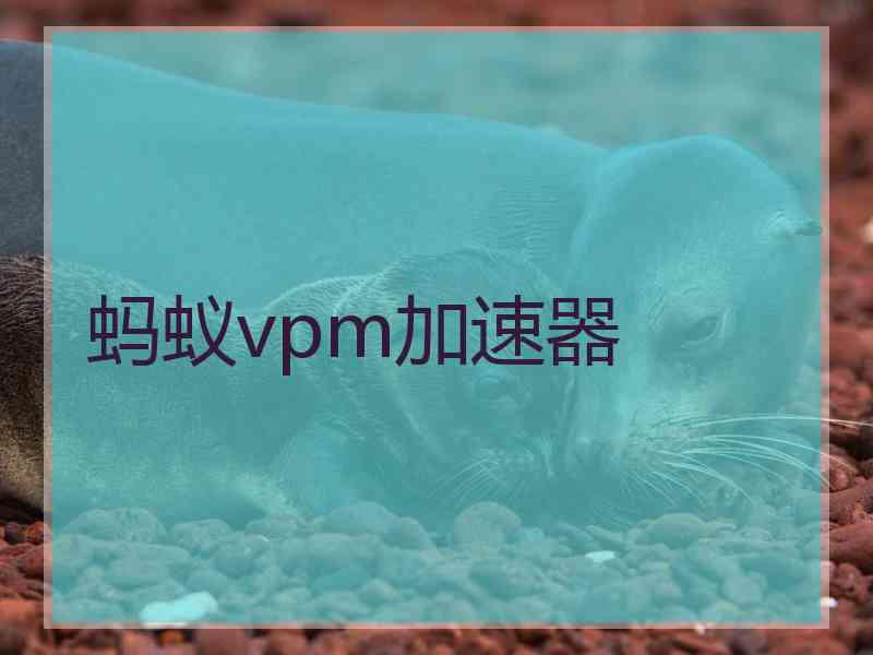 蚂蚁vpm加速器
