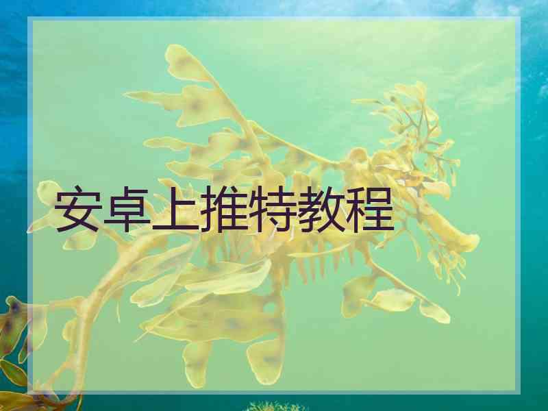 安卓上推特教程