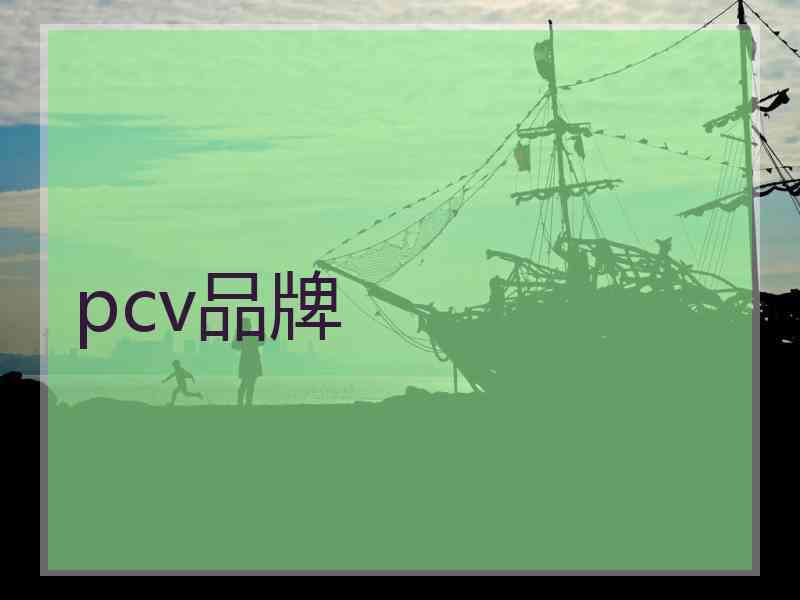 pcv品牌